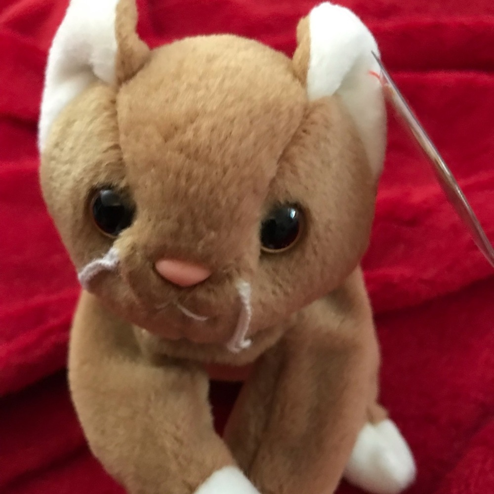 TY BEANIE BABIES (NIP)